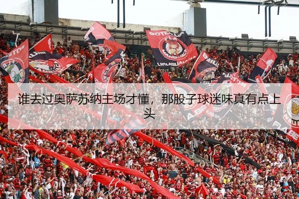 谁去过奥萨苏纳主场才懂，那股子球迷味真有点上头