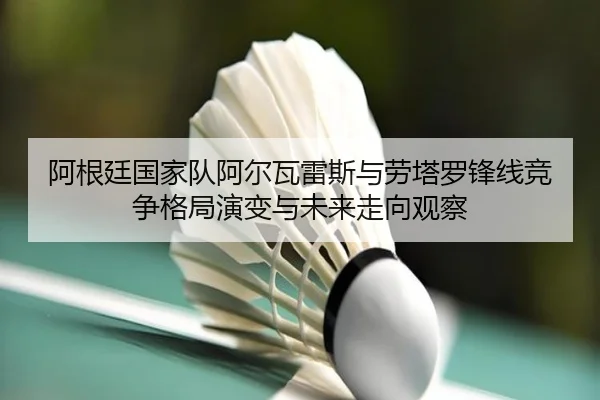 阿根廷国家队阿尔瓦雷斯与劳塔罗锋线竞争格局演变与未来走向观察