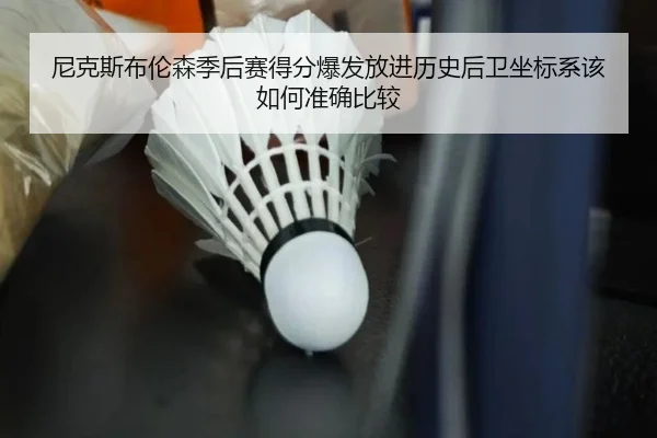 ni-ke-si-bu-lun-sen-ji-hou-sai-de-fen-bao-fa-fang-jin-li-shi-hou-wei-zuo-biao-xi-gai-ru-he-zhun-que-bi-jiao-2-787.jpg