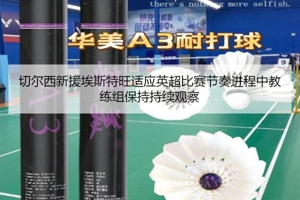 切尔西新援埃斯特旺适应英超比赛节奏进程中教练组保持持续观察